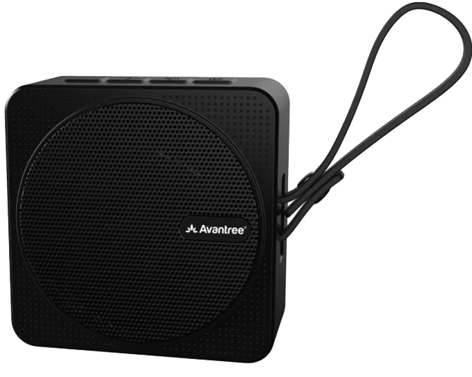 Avantree SP950
