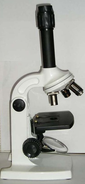 27031920_w0_h0_2p3_profil