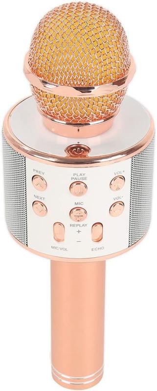 Wster WS-858