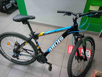 Ardis Dacota 29"