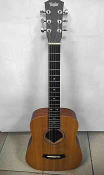 Taylor Baby BT1