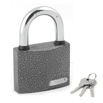_vyr_76175