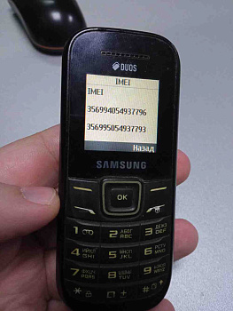 Samsung GT-E1202i