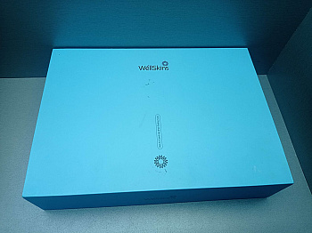 Xiaomi WellSkins Hot Air Comb (WX-FT09)