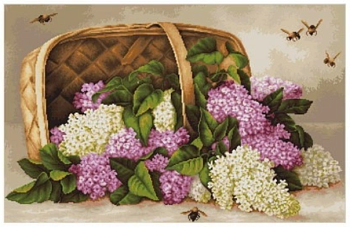 Снимок экрана 2026-06-15 105629