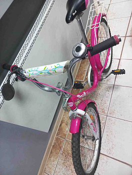 Profi Flower 20" Y2082