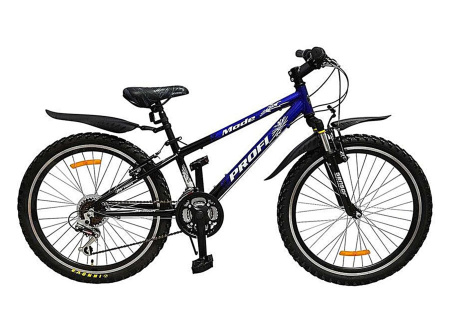 Profi mode 24''