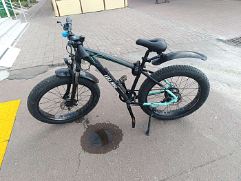 LikeBike Bruiser 557 Wh