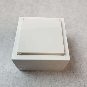 Ego(С9P9-001) Gusi Electric