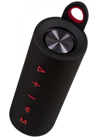 CeAudio M600D