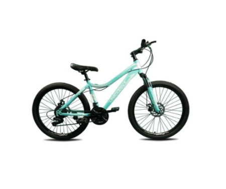 Unicorn Smart Rider 2021 24"