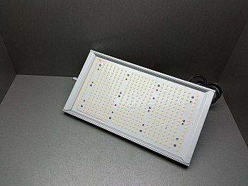 Hong Yi TF100038235-1G