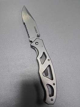 Gerber Paraframe I Knife SE 22-48443 (1013968)