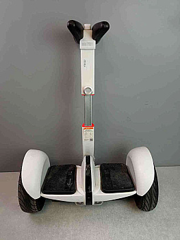 Rover Mini PRO1 10''