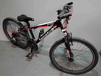 Focus Raven Rookie 26"