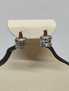 200000245101369 311