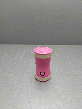 SanDisk Sansa Shaker