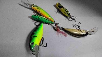Salmo Hornet H6S-D
