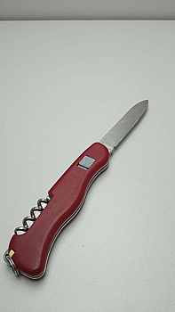 Victorinox Alpineer (0.8823)