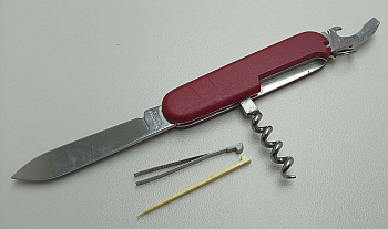 Victorinox Waiter (0.3303)