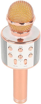 Wster WS-858