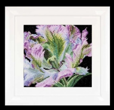 Thea Gouverneur 494 Tulip БУ