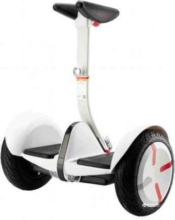 Rover Mini PRO1 10''