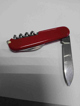 Victorinox Waiter (0.3303)