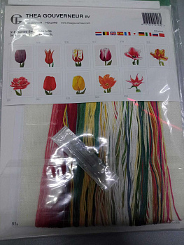 Thea Gouverneur 516 Flamed Single late tulip