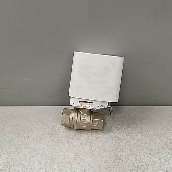 AJAX WaterStop Jeweller WTSJ0000EU 3/4 (DN 20)