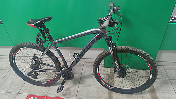 Ardis Titan HD 29" 21" 2023
