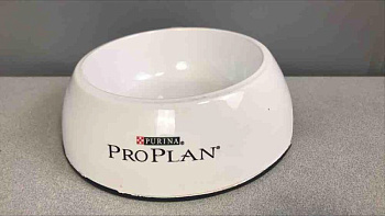 8CF93E42-F1D0-4364-8FCB-B60C249D36D4