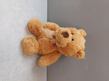 Blokker Let's Play knuffel Teddy - 22 cm