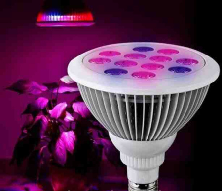 Фитолампа Е27 для растений  БУ