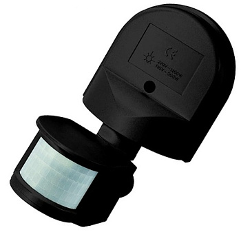 Без названия